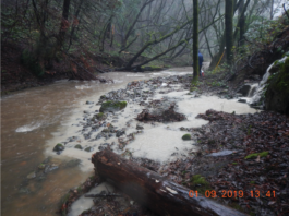 Porter Creek - Photo by Josh Luders/North Coast Regional Water Quality Control Board