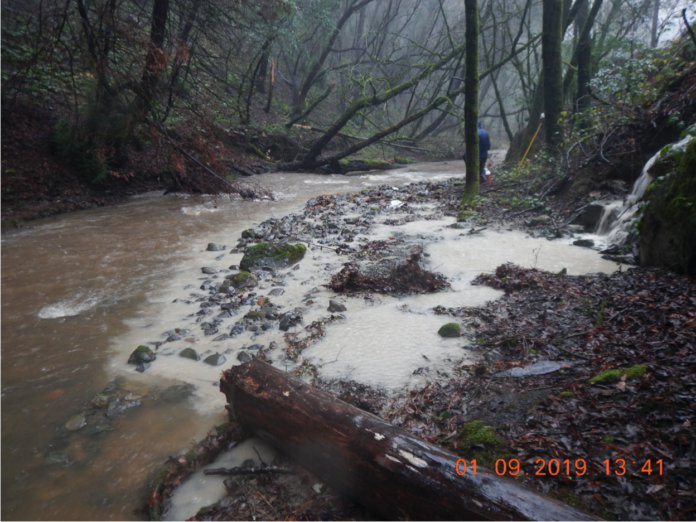 Porter Creek - Photo by Josh Luders/North Coast Regional Water Quality Control Board