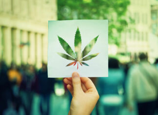 Best of the North Bay 2022: Cannabis