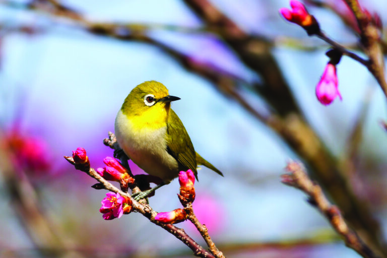 Best Bar for Falling in Love 2022