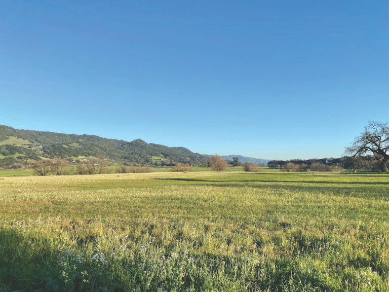 Best Way to Fall in Love ‘In the Middle of Everything’ 2022