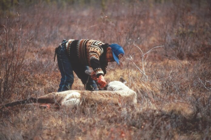 The Last Great Wilderness - Lenny Kohm