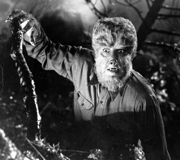 Photo courtesy of Universal Studios BITE ME Lon Chaney, Jr. as 'The Wolfman'