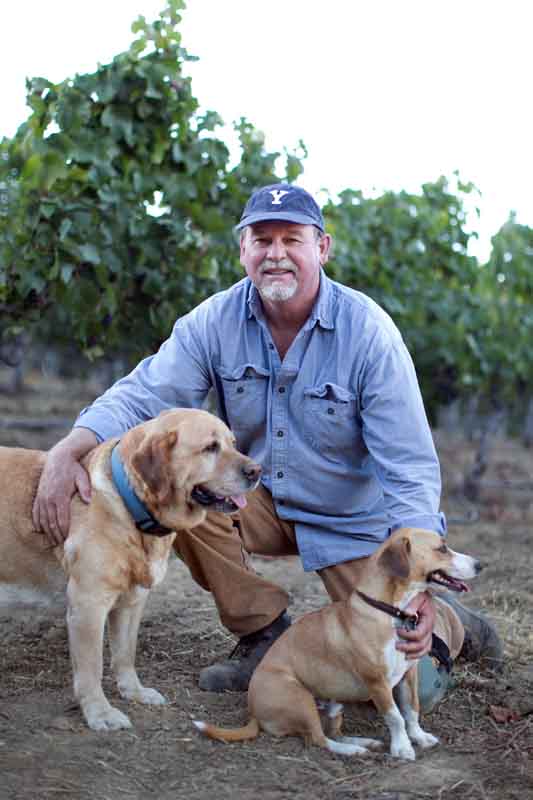 Photo by Eric Schwartzman FAMILY PORTRAIT Yalie turned farmer Stewart Johnson with his dogs, Jessie and Henri, at Kendric Vineyards on the Marin County side of the Petaluma Gap. Photo by Eric Schwartzman FUTURISTIC FOOD Tuscan olives at the McEvoy Ranch Orchards on the Marin side of the Petaluma Gap.