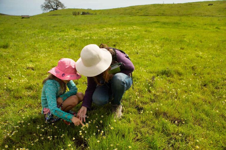 Giving the Gift of Local Experiences