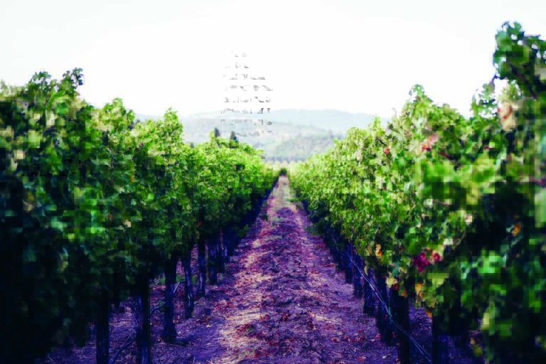 Napa Valley landfill faces $619,400 Water Board fine