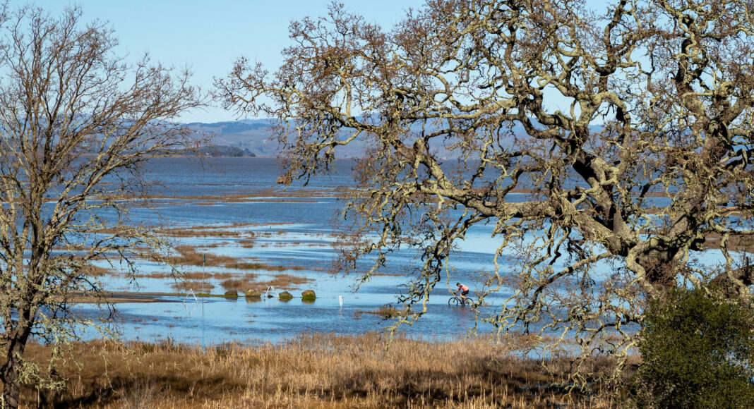 China Camp - King tide - Chelsea Kurnick