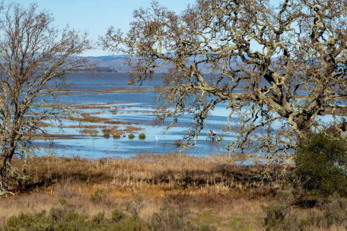 China Camp - King tide - Chelsea Kurnick