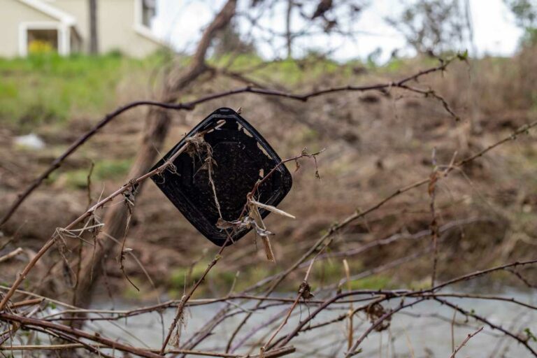 Best Trashy Birthday Celebration