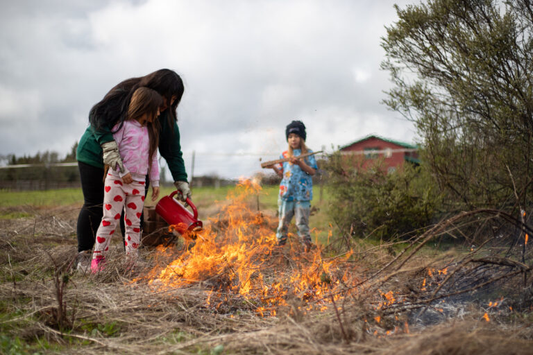 Indigenous groups and allies push for greater acceptance of planned burns