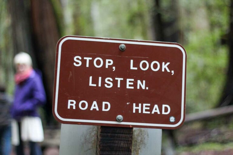 Best Spot for Arborial Romance