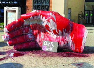 Santa Rosa hand vandalism - Courtesy of Santa Rosa Police Department