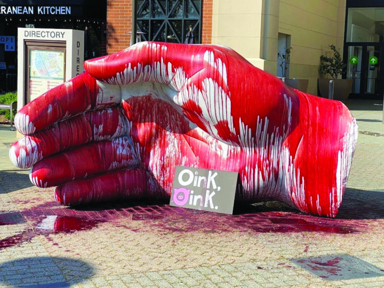 Pig’s blood vandalism case returns to Sonoma County court