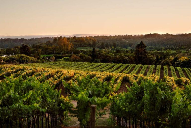 Kobler Estate Winery and Vineyards