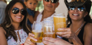 gravenstein apple fair Ragle Ranch Regional Park in Sebastopol california, best festival in sonoma county, wine tasting in sonoma, live music in Sebastopol california, craft beers, food