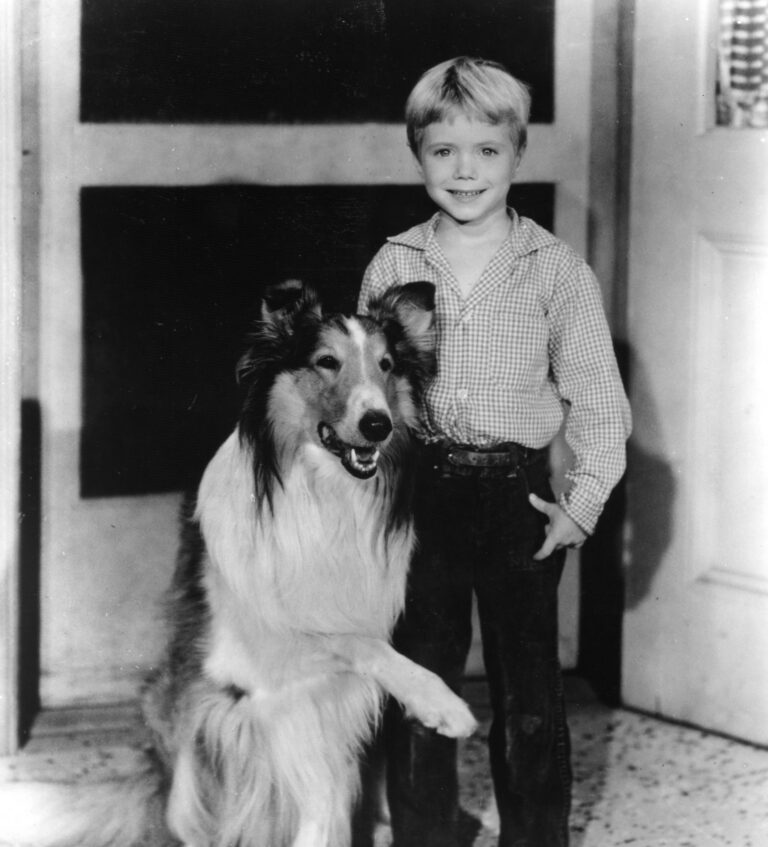 Love of dogs continues for iconic star of Lassie TV show