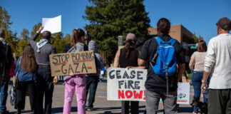 Santa Rosa Gaza ceasefire protest - Oct. 29, 2023