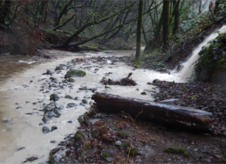 Water Board pursues record-setting $8.6 million fine against BoDean quarry Photo by Paul Nelson/North Coast Regional Water Quality Control Board