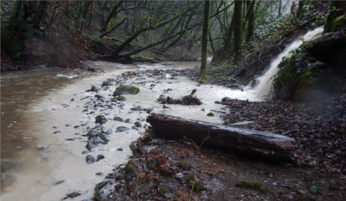 Photo by Paul Nelson/North Coast Regional Water Quality Control Board