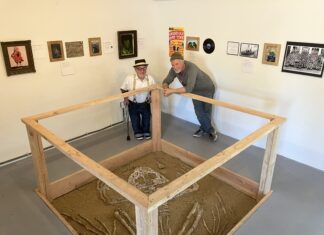 Subjective Research: Local artists showcase a ‘Mega Toad’ in a Rabbit Hole Rabbit Hole Portrait - Photo by Will Carruthers