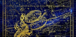 Free Will Astrology: Week of November 8