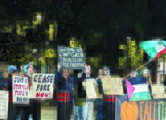 Together for Peace: The Experience of Sonoma County Activist