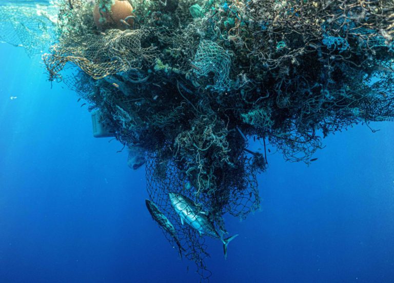 North Bay nonprofit removes deadly ghost nets from Great Pacific Garbage Patch