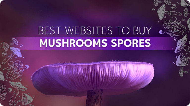 5 Best Websites to Buy Mushrooms Spores: Top Mushroom Sites