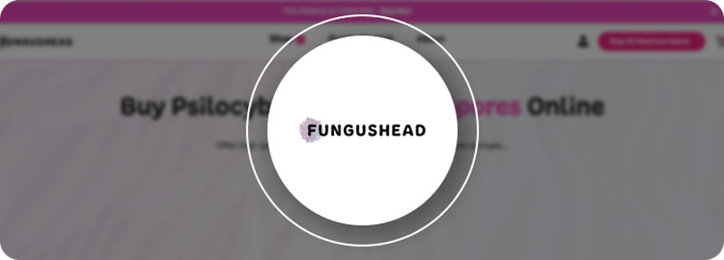 fungushead