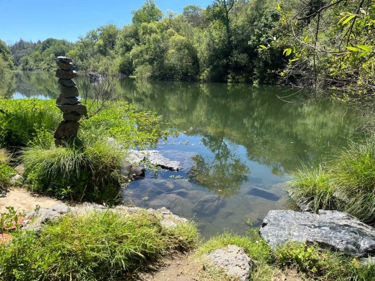 Best Place to Forest Bathe for the Ultimate Inner Glow Best Place to Forest Bathe for the Ultimate Inner Glow