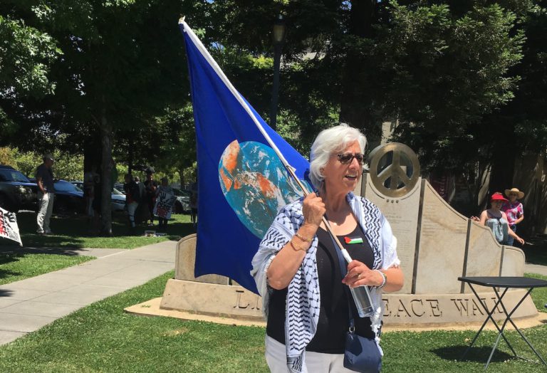 Pro-Palestine activists issue ‘People’s Ceasefire Resolution’