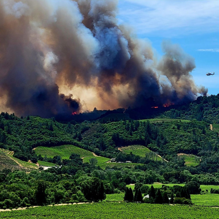 Big Month for Wildfire in Wine Country