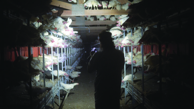 Family Farm Fracas: Sebastopol Opposes Measure J