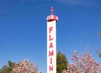 Pics of the Week: Tattoos & Blues