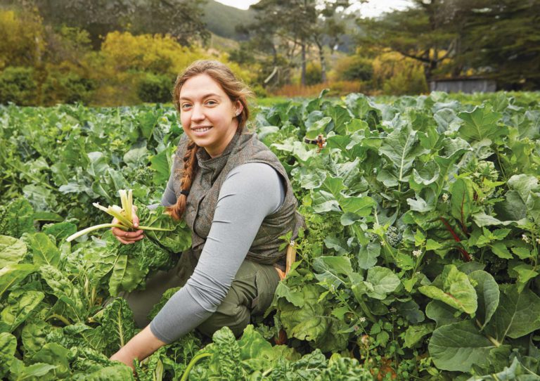 Culture Crush, 4/2 Culture Crush, 4/2