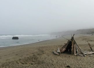 Day at the Bay: Hitchcock, Hospitality & the Sonoma Coast