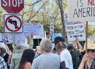 Thousands Join Growing Local Protest Movement Against Trump, Musk