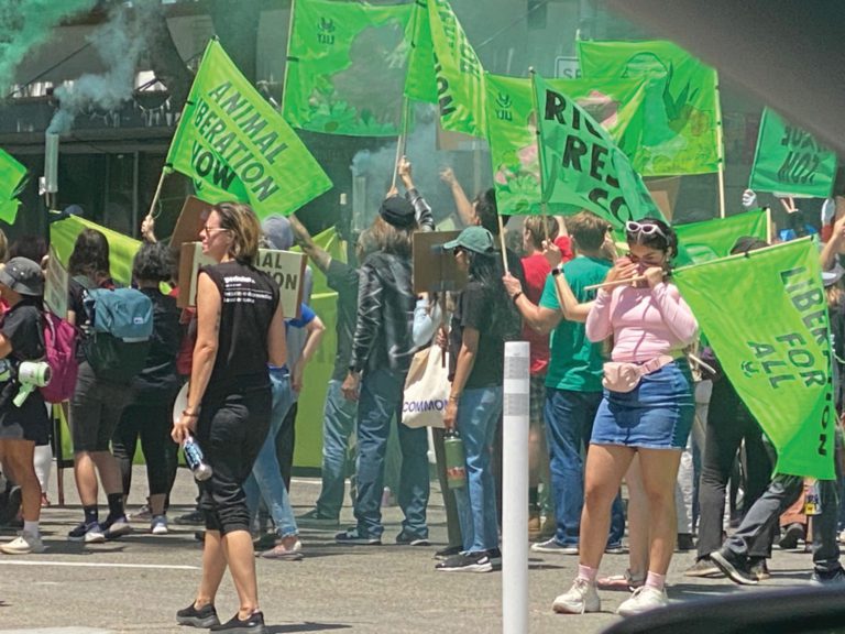 Playing Chicken, Reporting from the Field