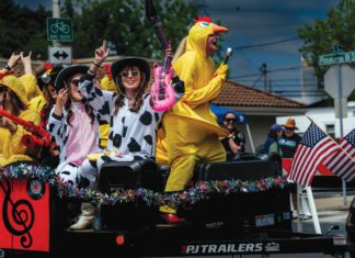 Luma Love, Four Reasons to be Obsessed with Petaluma