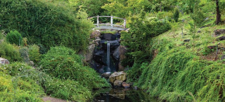 Summertime and the Living is Easy