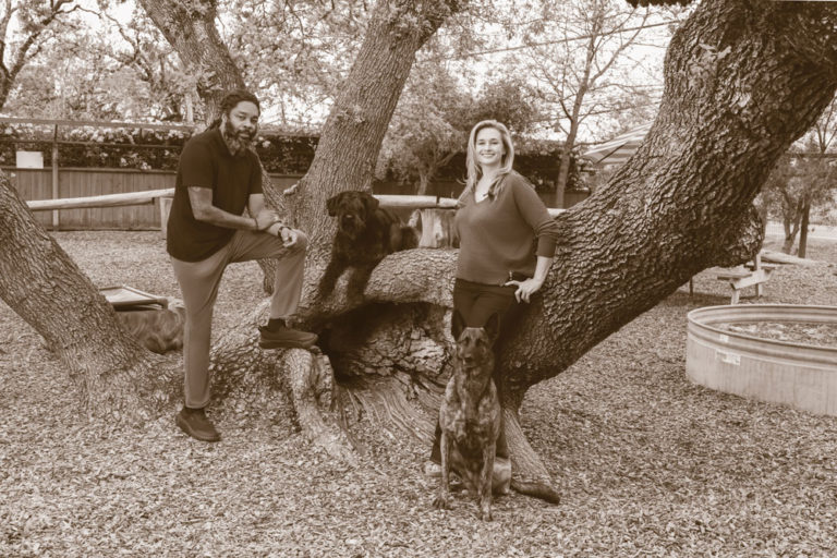 The Face of Dog Training