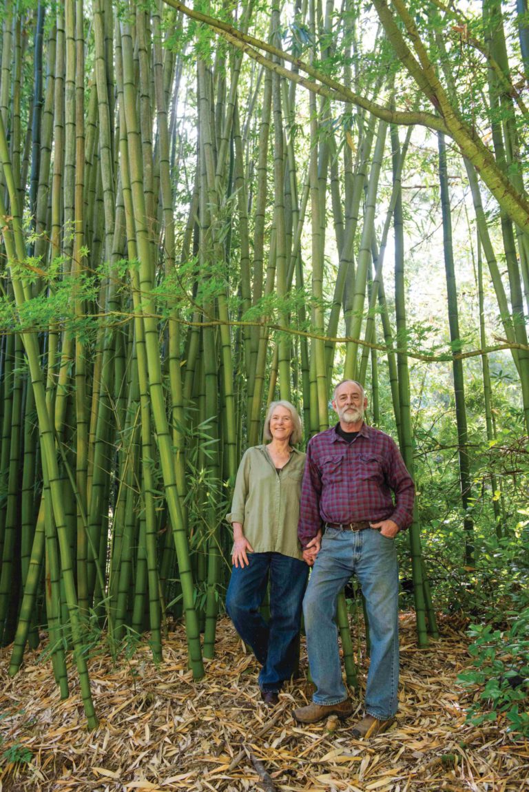Fast and Slow, Jennifer York and Joe Ruffatto of Bamboo Sourcery Fast and Slow, Jennifer York and Joe Ruffatto of Bamboo Sourcery
