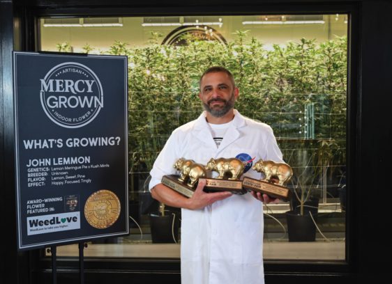 Cannabis Lounge: Brandon Levine of Mercy Wellness Brandon Levine, founder and owner pf Mercy Wellness, a cannabis company