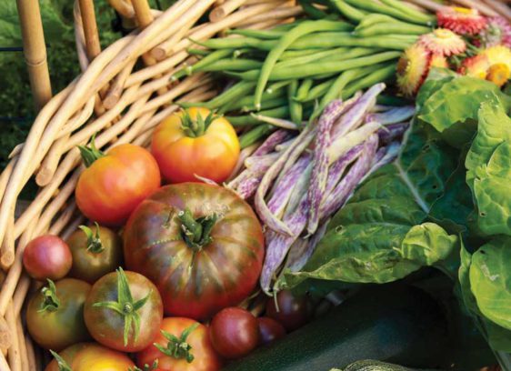 Farm Finds: Expert Secrets for Local Ingredients
