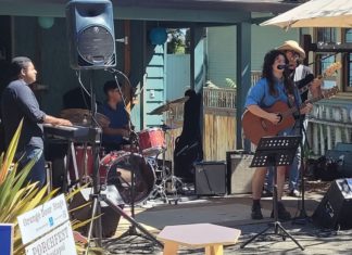 Sebastopol Porchfest: Popular Music Event Moves to Ives Park Performers at Sebastopol Porchfest, a music event