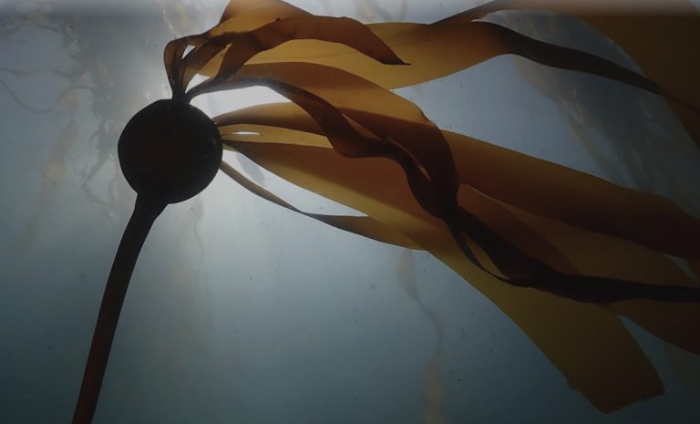 ‘Seasons of Change’ at Fort Ross ‘Seasons of Change’ at Fort Ross