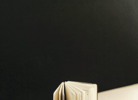 the North Bay is a treasure trove of photogenic objects to elevate your favorite influencer.