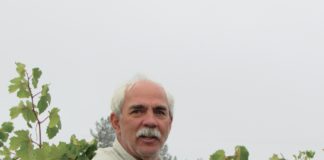 Merriam Vineyards in Healdsburg