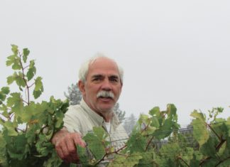 Merriam Vineyards in Healdsburg