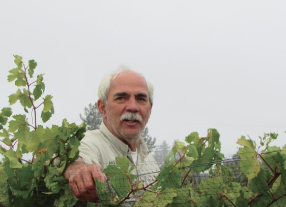 Merriam Vineyards in Healdsburg